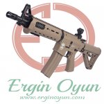 G&G Armament  CM-16 Mod-0 DST