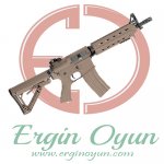 G&G Armament  CM-16 Mod-0 DST